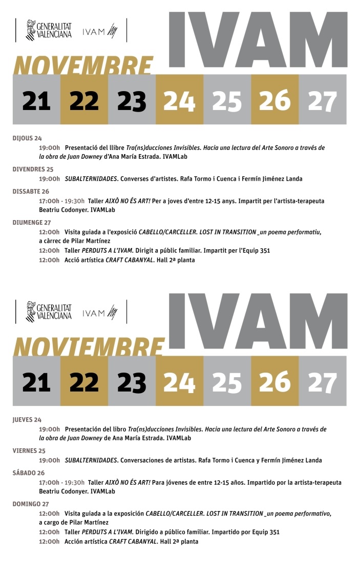 ivam-21-a-27-nov-2016