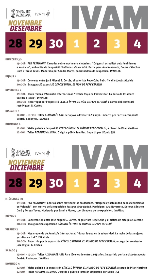 ivam-semana-del-28-al-4-diciembre-2016