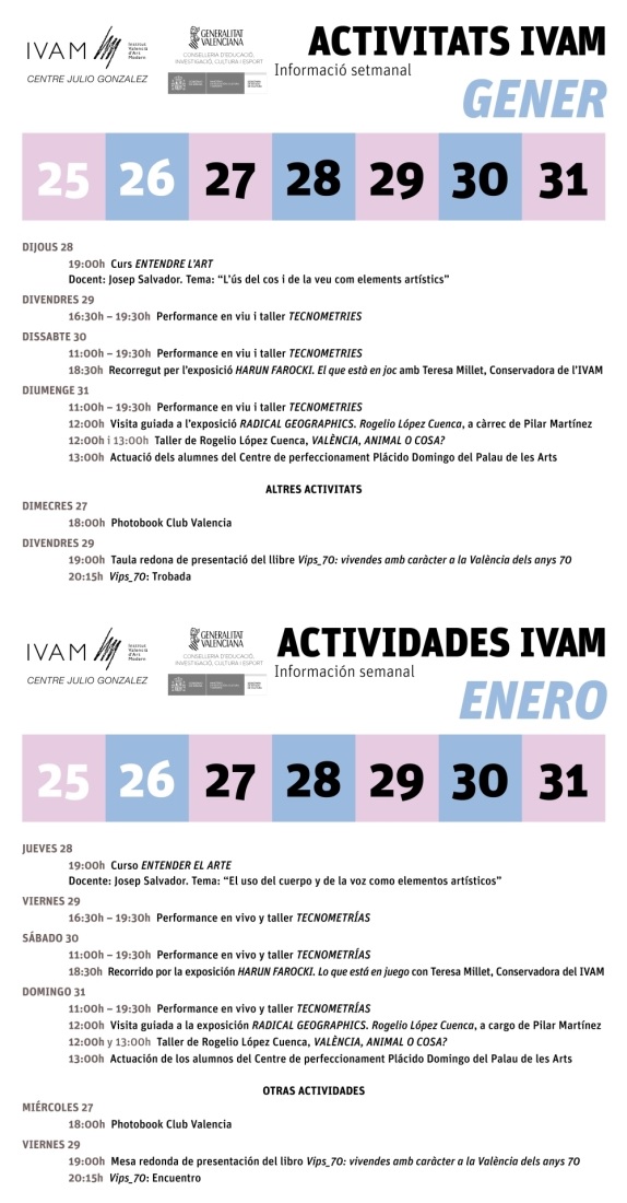 IVAM_25 a 31 enero 2016