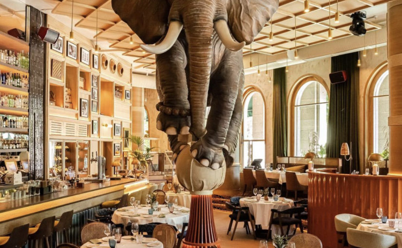 NUEVO PROYECTO DE RICARDO ALCAIDE · RESTAURANTE FANÁTICO